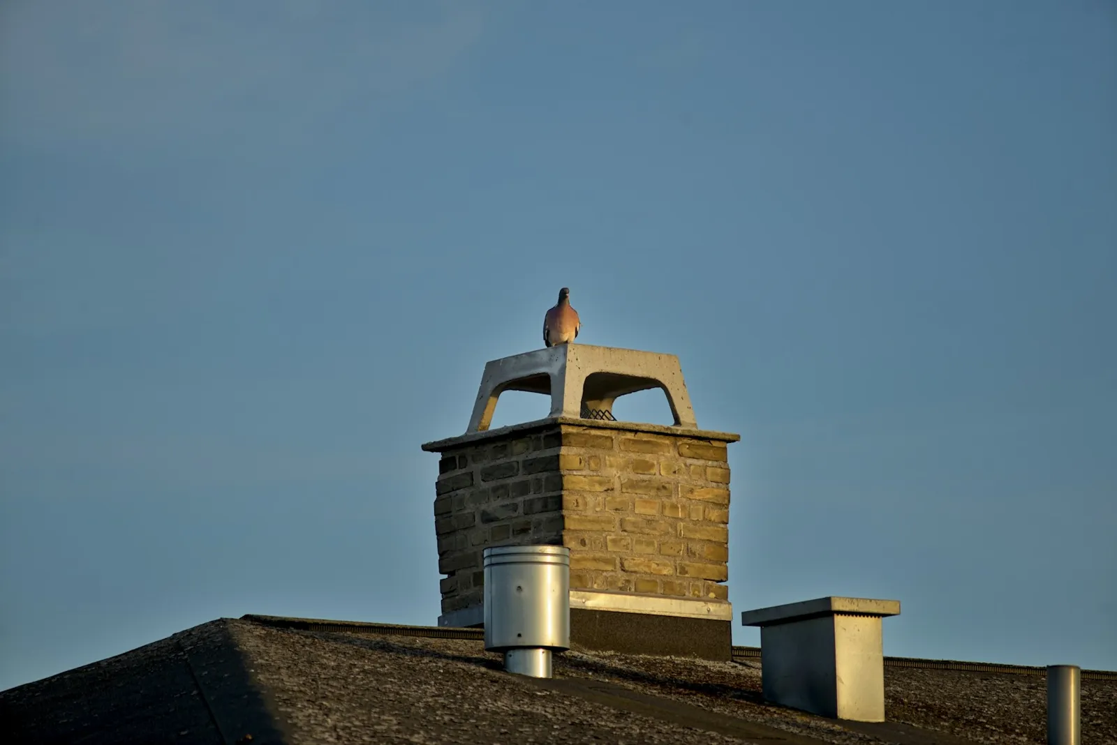Masonry chimney with a metal chimney cap and crown on a shingle roof